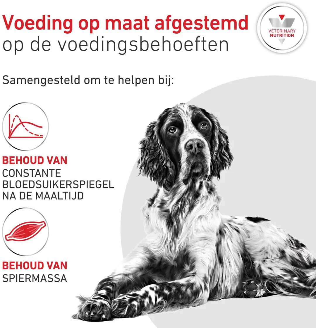 Royal Canin Glycobalance Hond 12kg