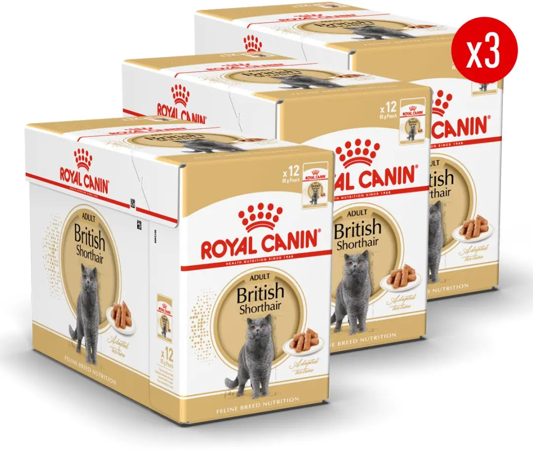 Royal Canin British Shorthair Adult Natvoer
