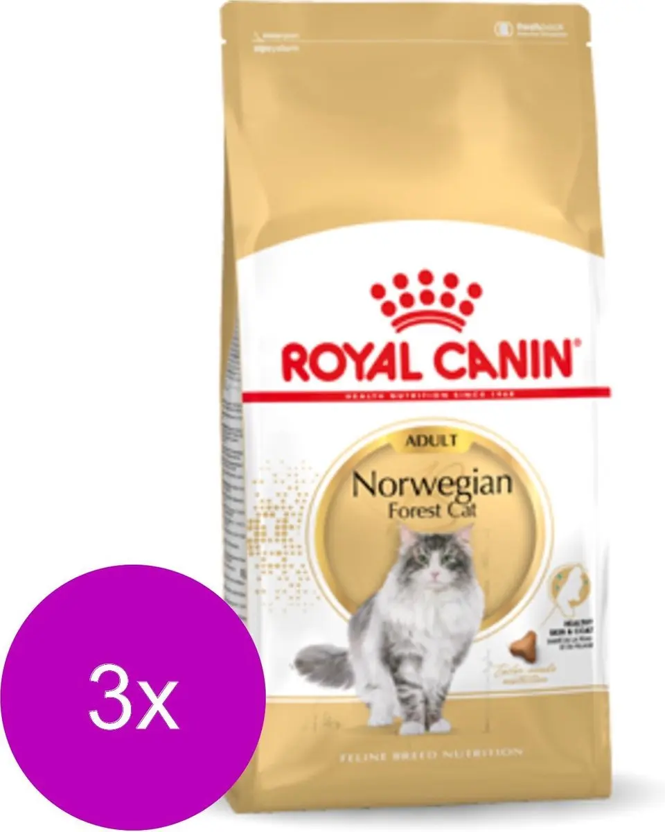 Royal Canin Norwegian Forest Cat Adult Kattenvoer - 6 kg