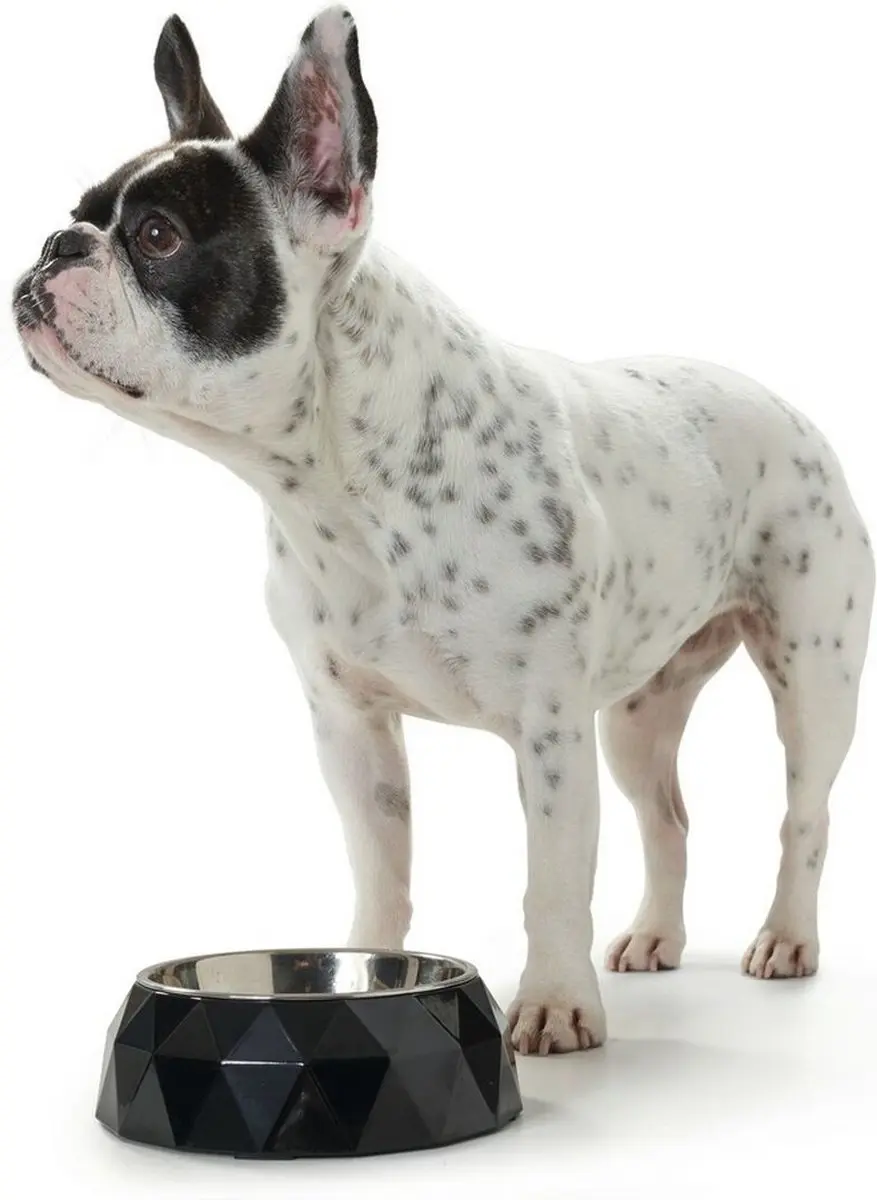 Hunter Kimberley Voerbak Melamine - 17,5 cm - Wit