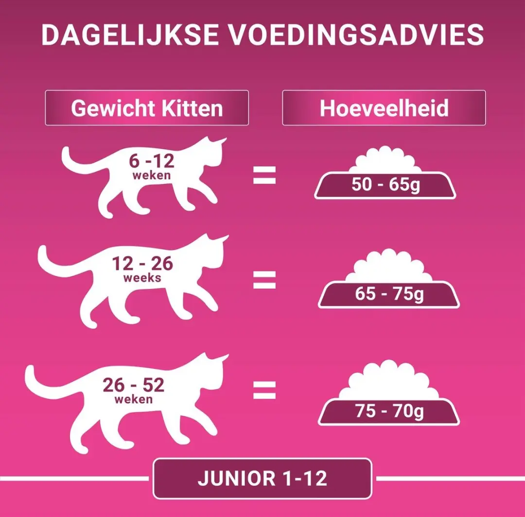 Purina ONE Junior Kattenvoer Kip & Rijst 1,5 kg
