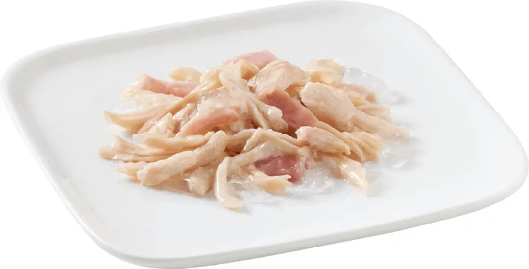 Schesir Hondenvoer Kipfilet & Rundvlees in Gelei - 10x150g