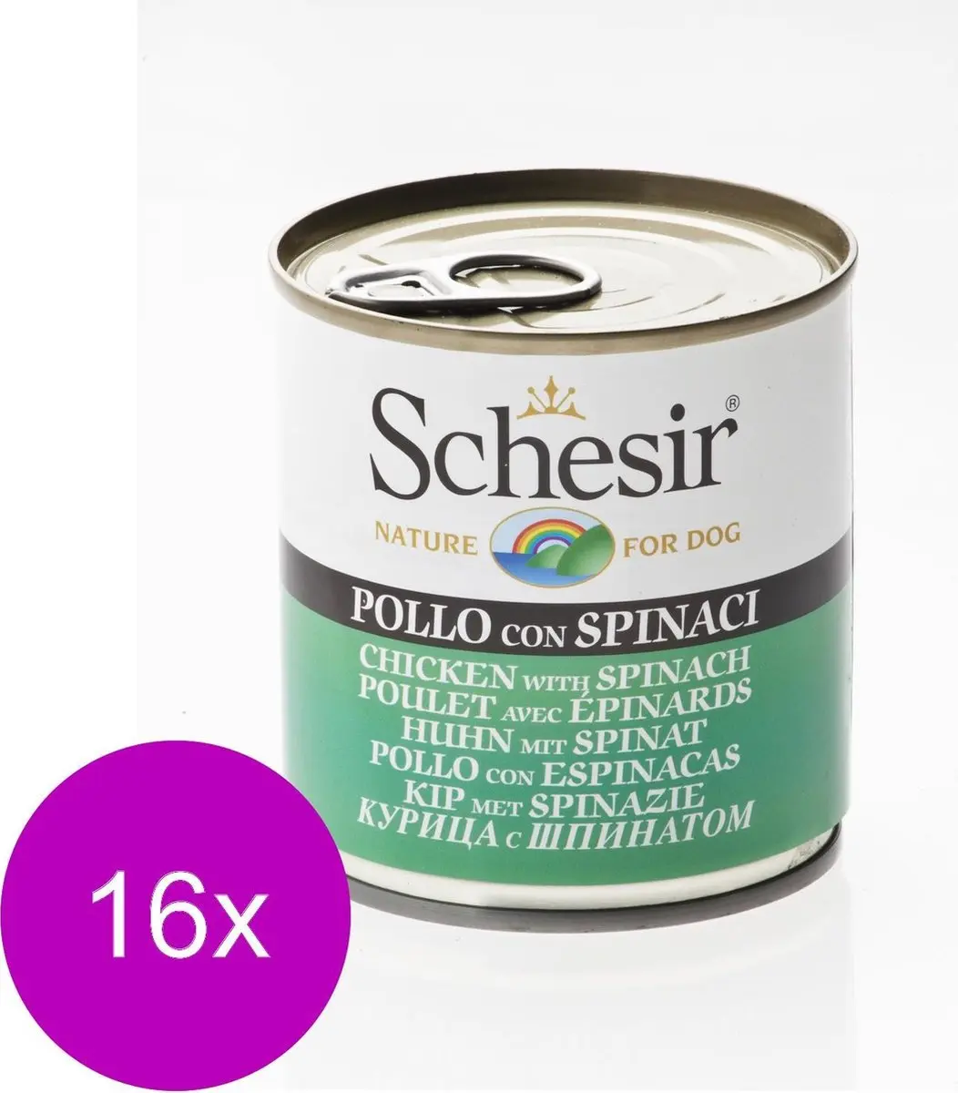 Schesir Hondenvoer Kip Spinazie in Gelei