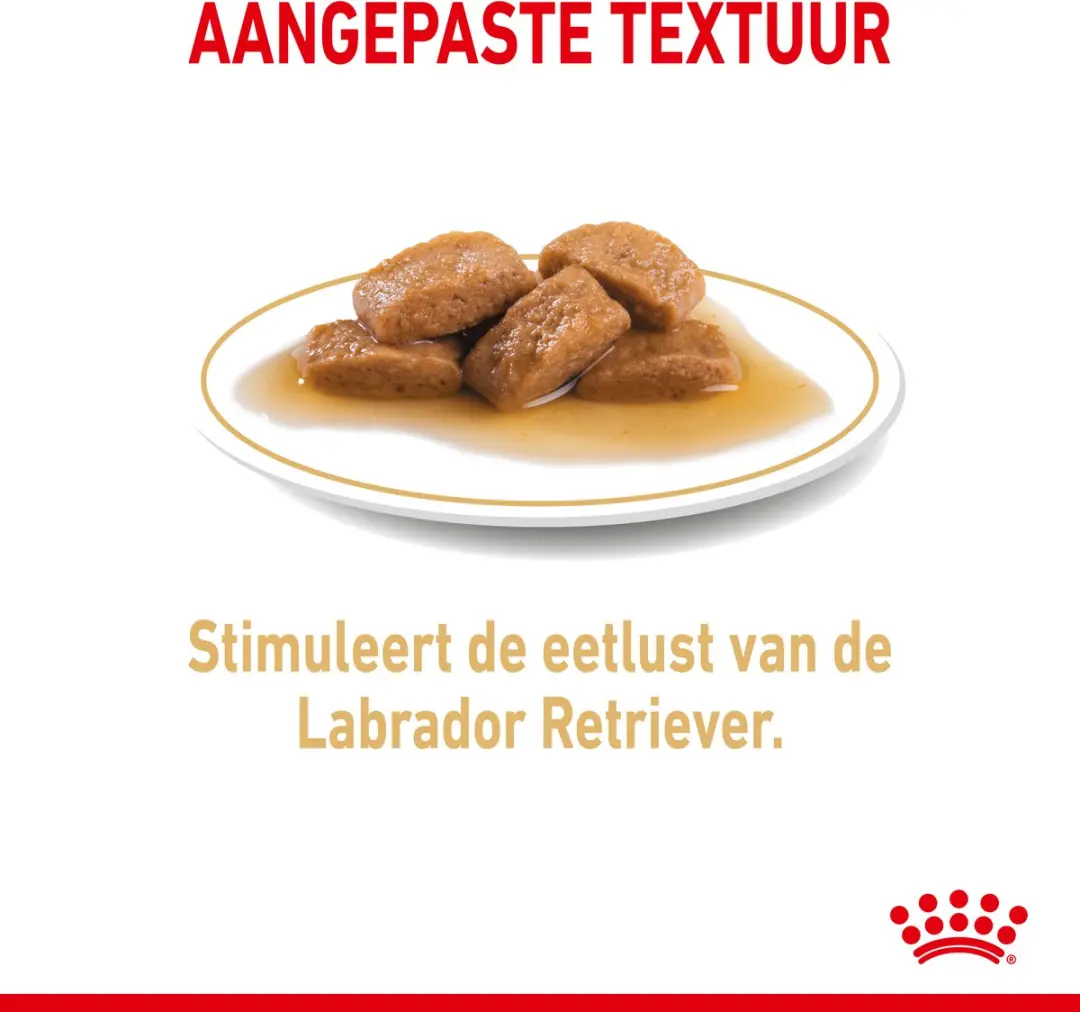 Royal Canin Labrador Adult Natvoer - 10x140g