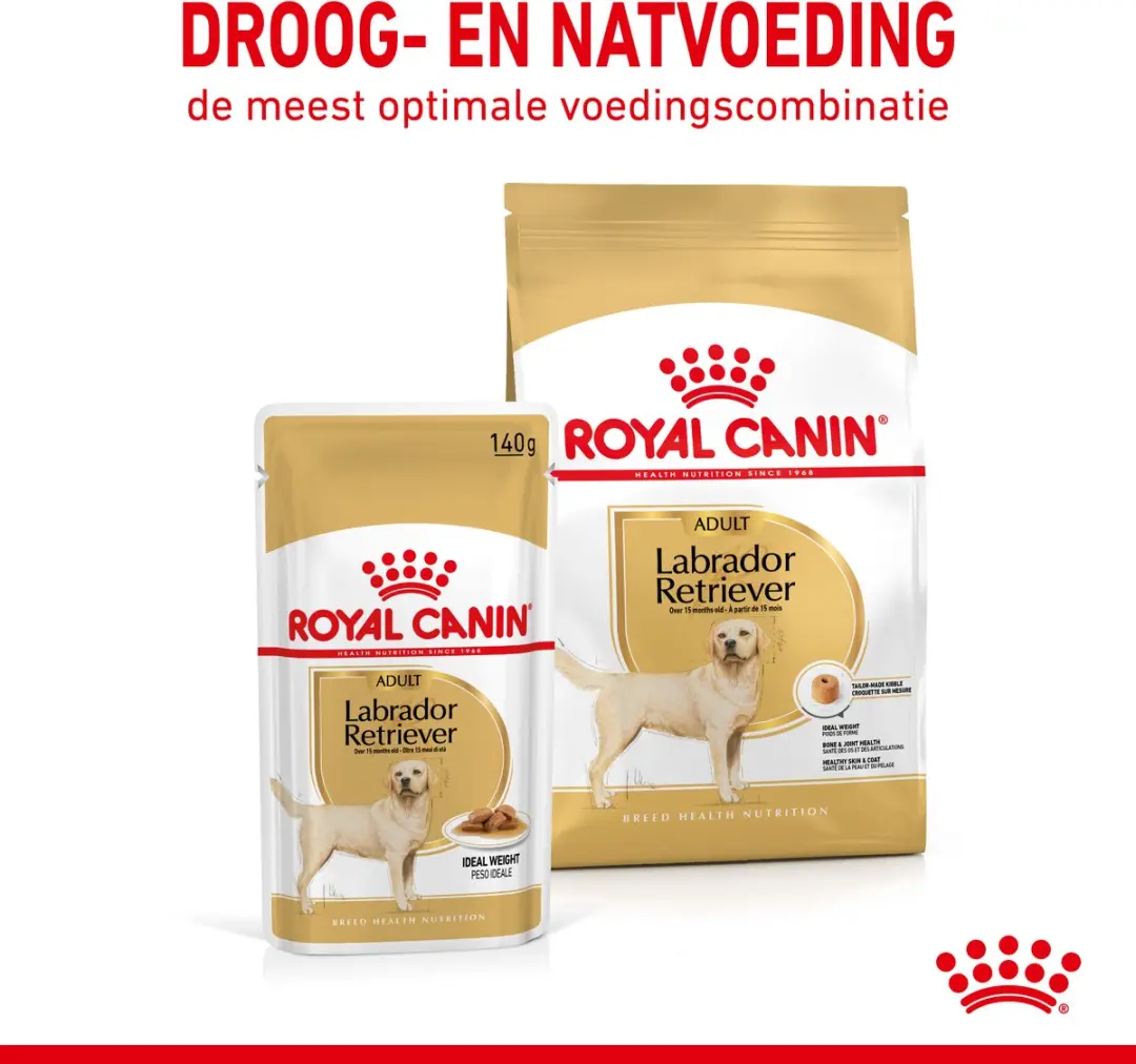 Royal Canin Labrador Adult Natvoer - 10x140g - afbeelding 6 van 6