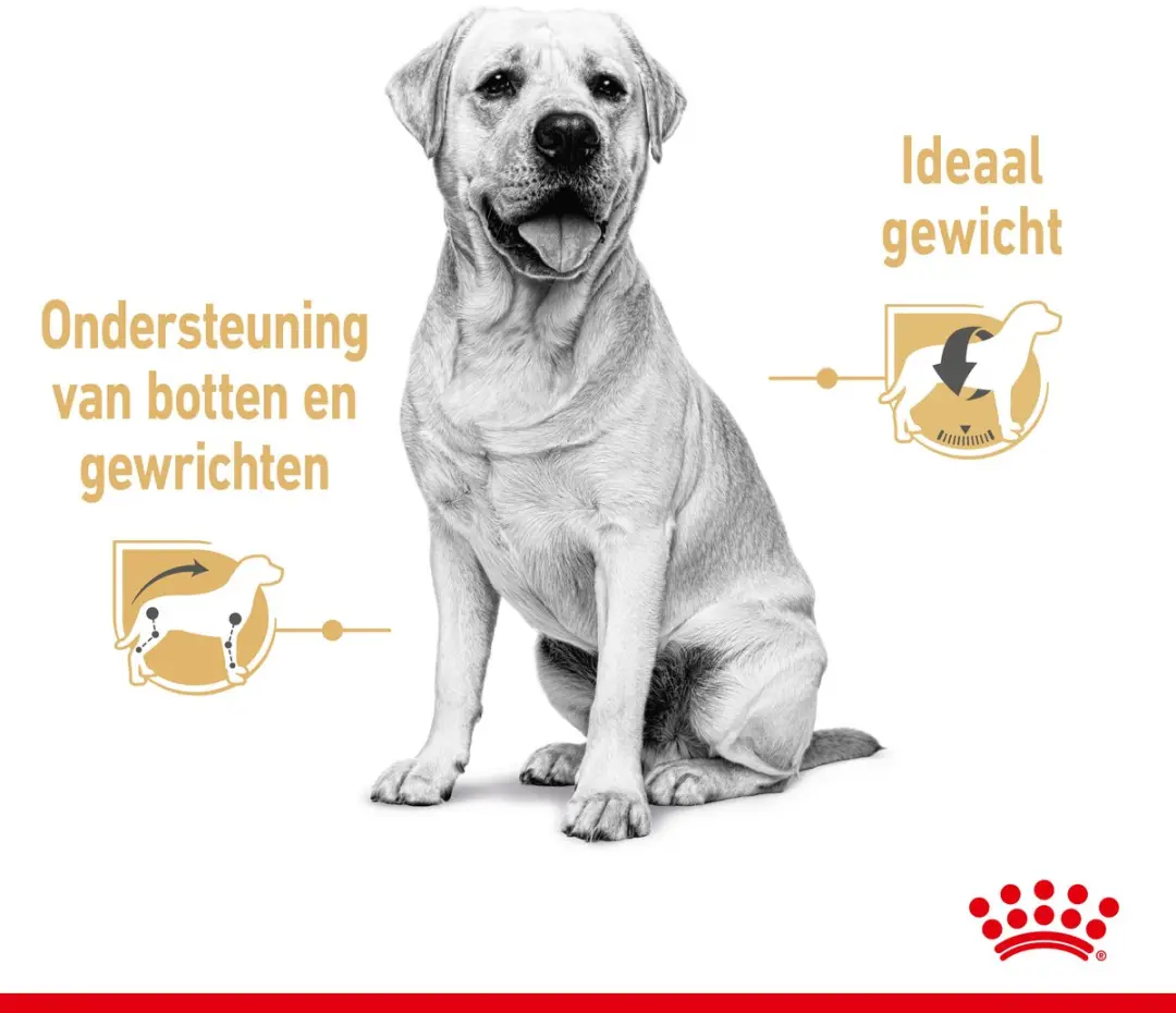 Royal Canin Labrador Adult Natvoer - 10x140g