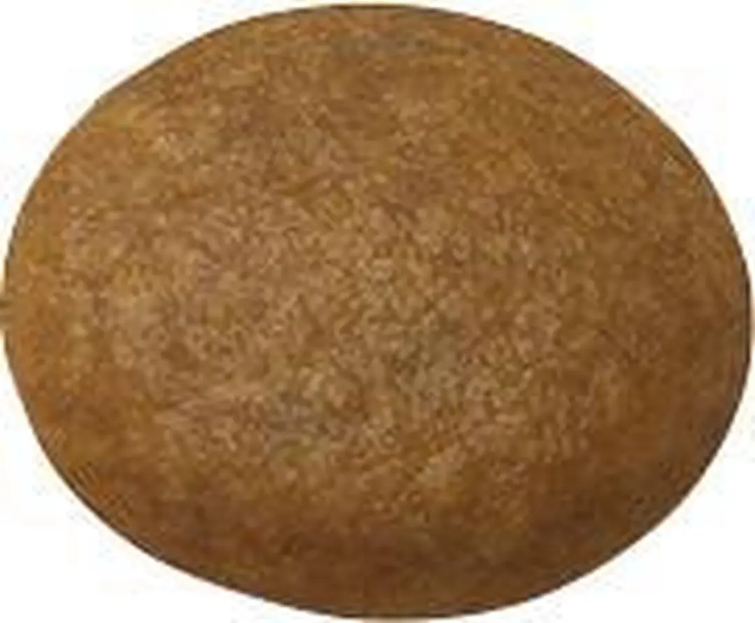 Royal Canin Sporting Agility Large Dog Hondenvoer 15kg