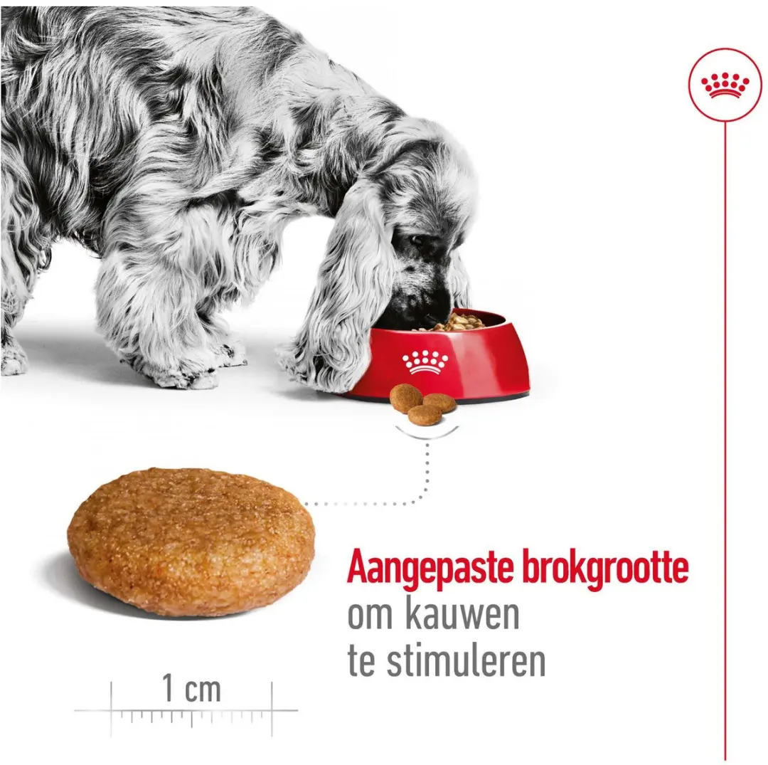 Royal Canin Medium Adult Hondenvoer 18kg