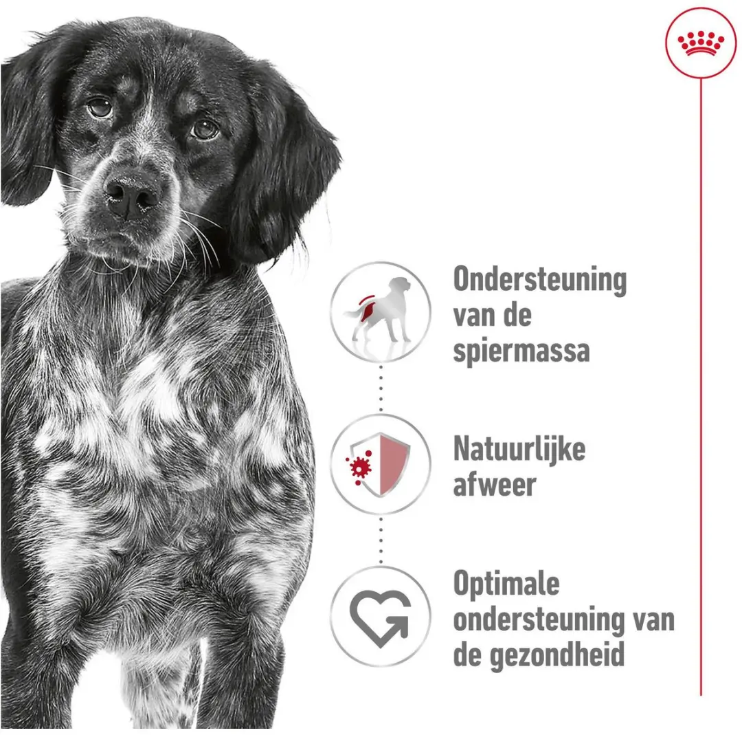 Royal Canin Medium Adult Hondenvoer 18kg