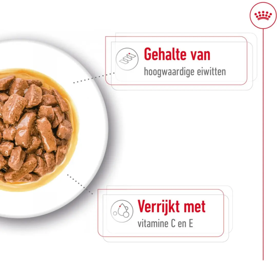 Royal Canin Medium Adult Hondenvoer - 40 Stuks (4x10x140g)