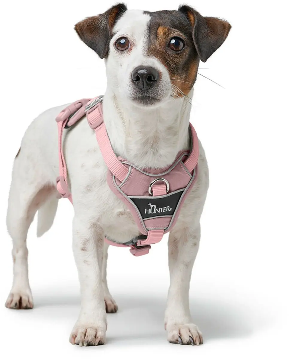 Hunter DIVO UP Hondentuigje Roze L/XL