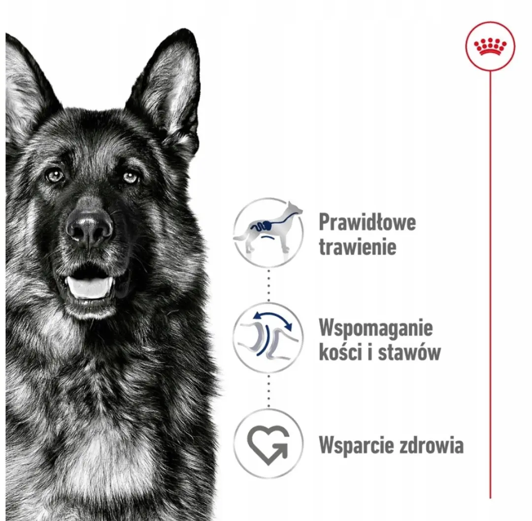 Royal Canin SHN Maxi Adult Hondenvoer 1 Stuks