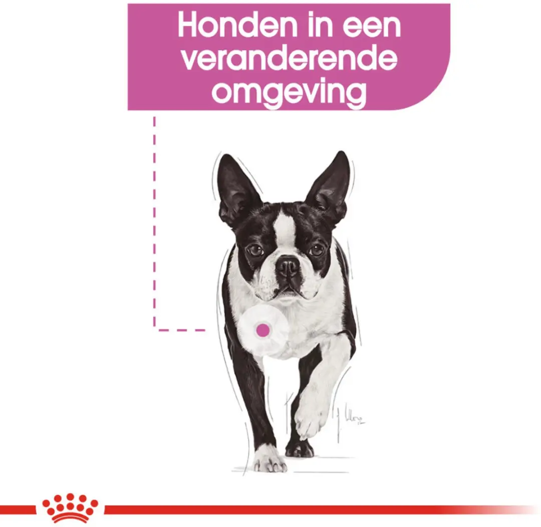 Royal Canin Relax Care Mini Hondenvoer - 12 kg - afbeelding 3 van 6