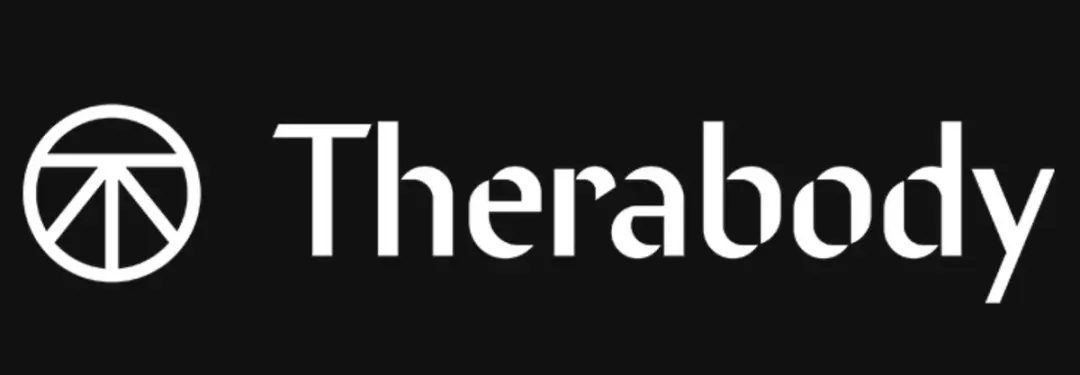 Therabody Theragun Cone Opzetstuk - Zwart