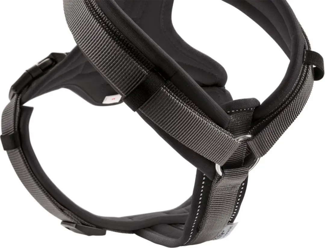 Hunter Harnas Maldon Zwart&Grijs - XS 31-49cm