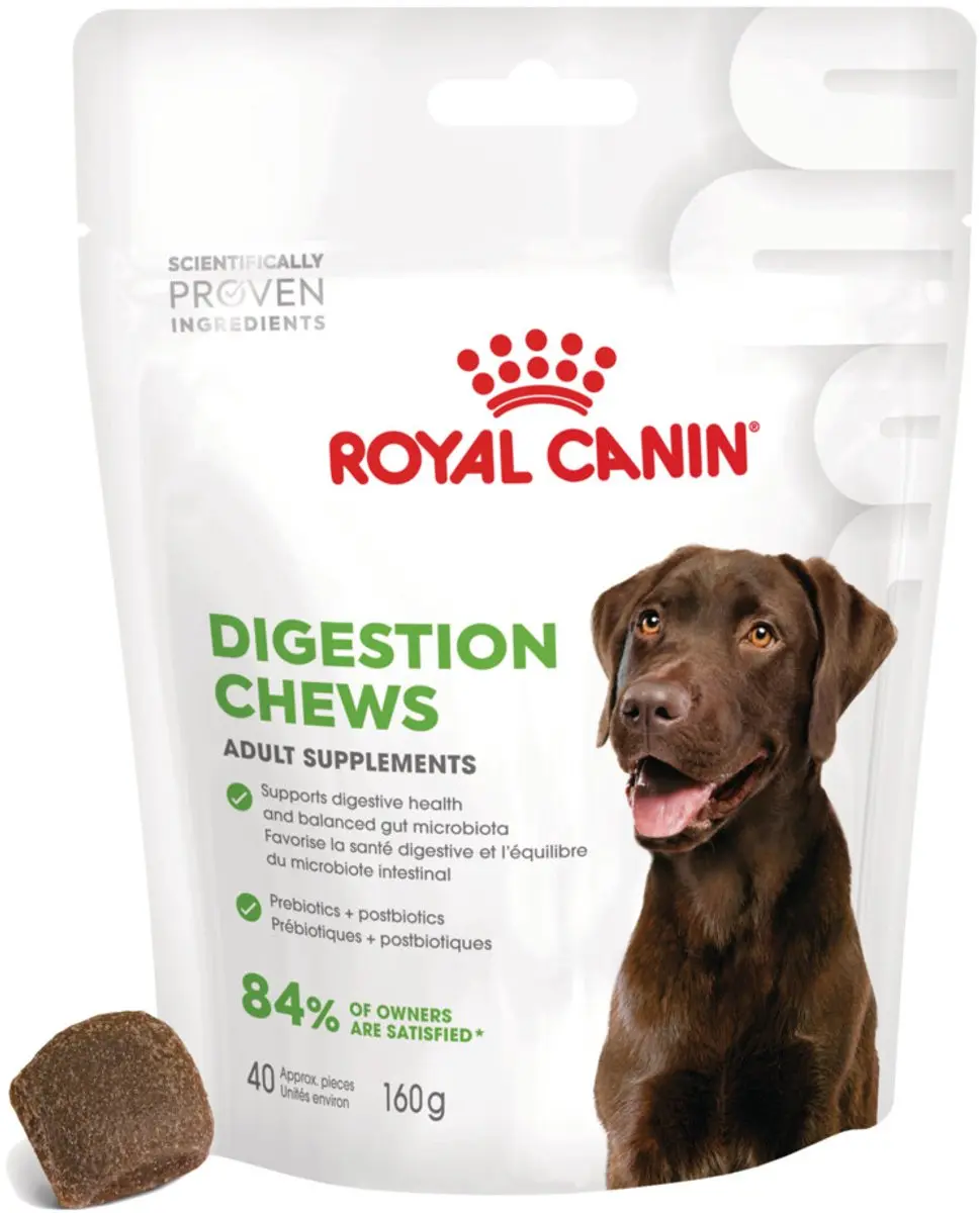 Royal Canin Digestion Supplement 6x160g