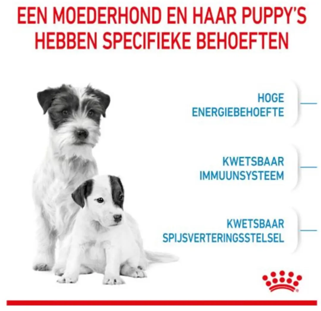 Royal Canin Mini Starter Mother & Babydog Hondenvoer - 16kg
