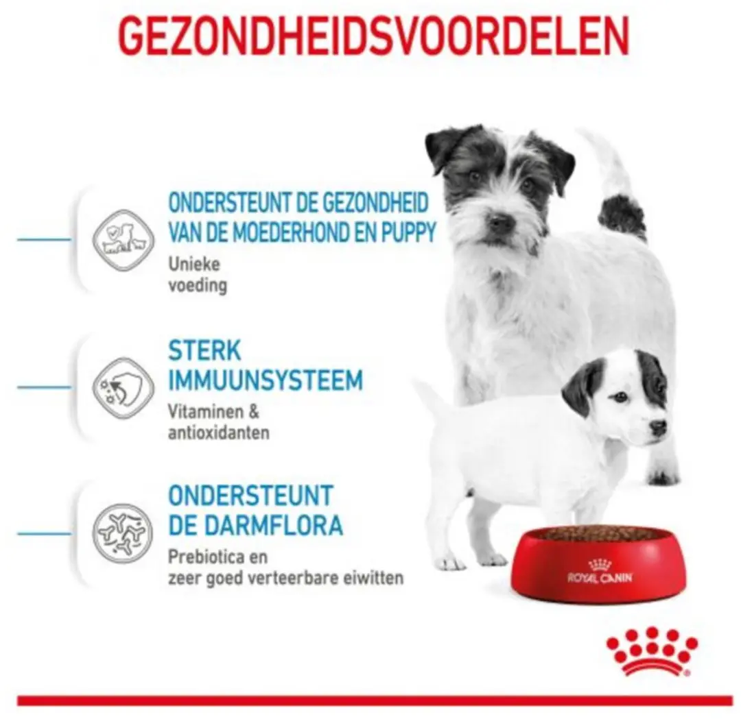 Royal Canin Mini Starter Mother & Babydog Hondenvoer - 16kg