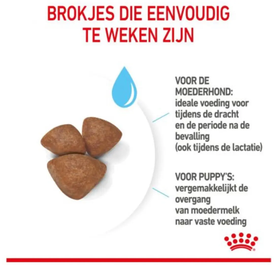 Royal Canin Mini Starter Mother & Babydog Hondenvoer - 16kg