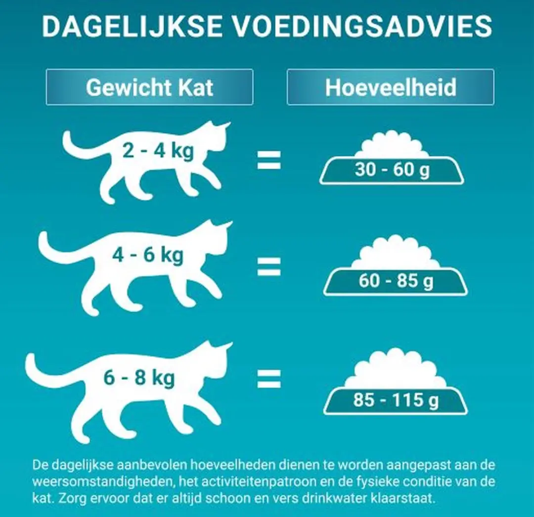 Purina ONE Adult Kattenbrokjes Zalm & Volkoren Granen - 4x800g
