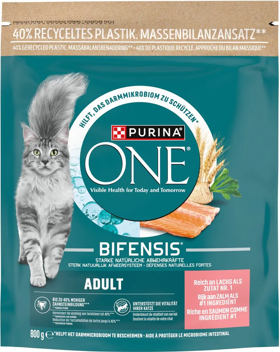 Purina ONE Adult Kattenbrokjes Zalm & Volkoren Granen - 4x800g