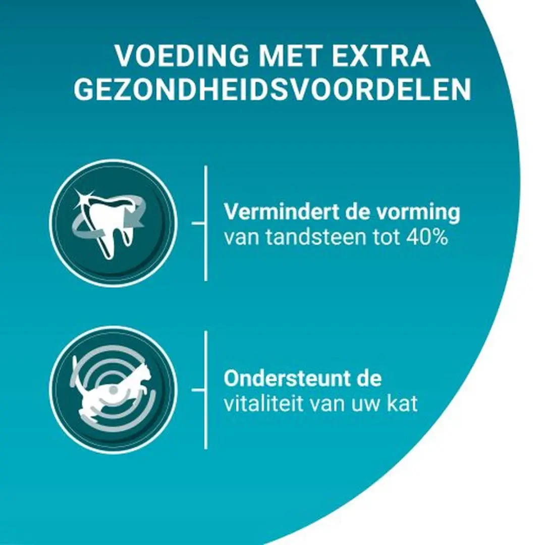Purina ONE Adult Kattenbrokjes Zalm & Volkoren Granen - 4x800g