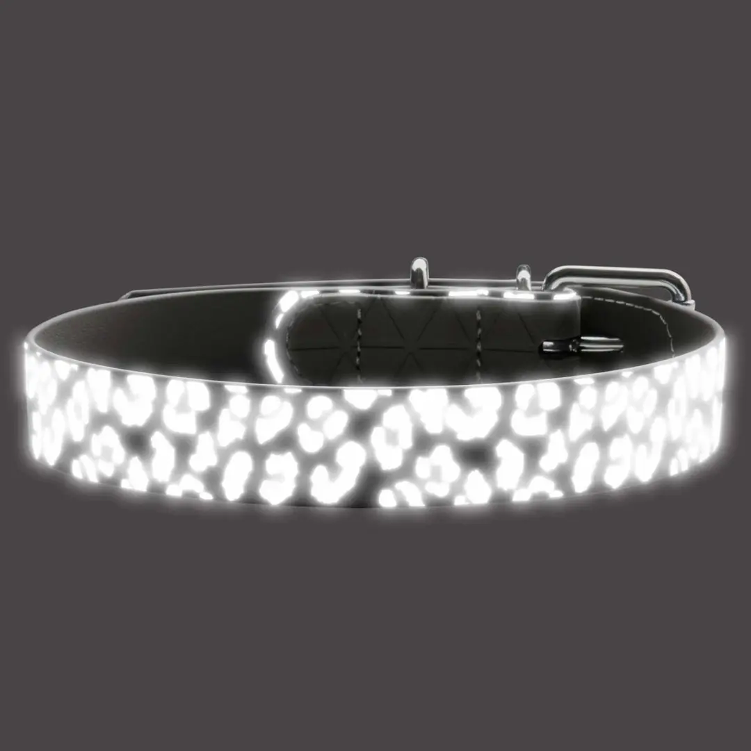 Hunter Halsband Convenience Reflect Grijs - 65 cm