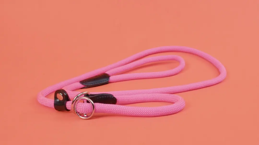 Hunter Retrieverlijn Neon Roze - 10mm x 170cm