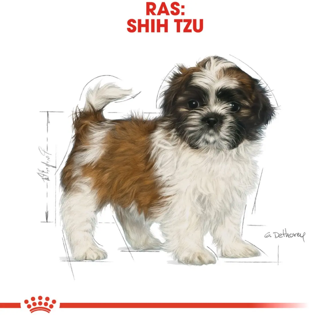 Royal Canin Shih Tzu Puppy Hondenvoer - 1.5 kg