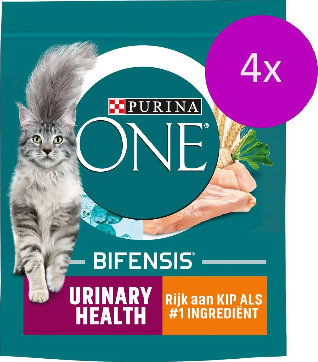 Purina ONE Urinary Care Kip 800g