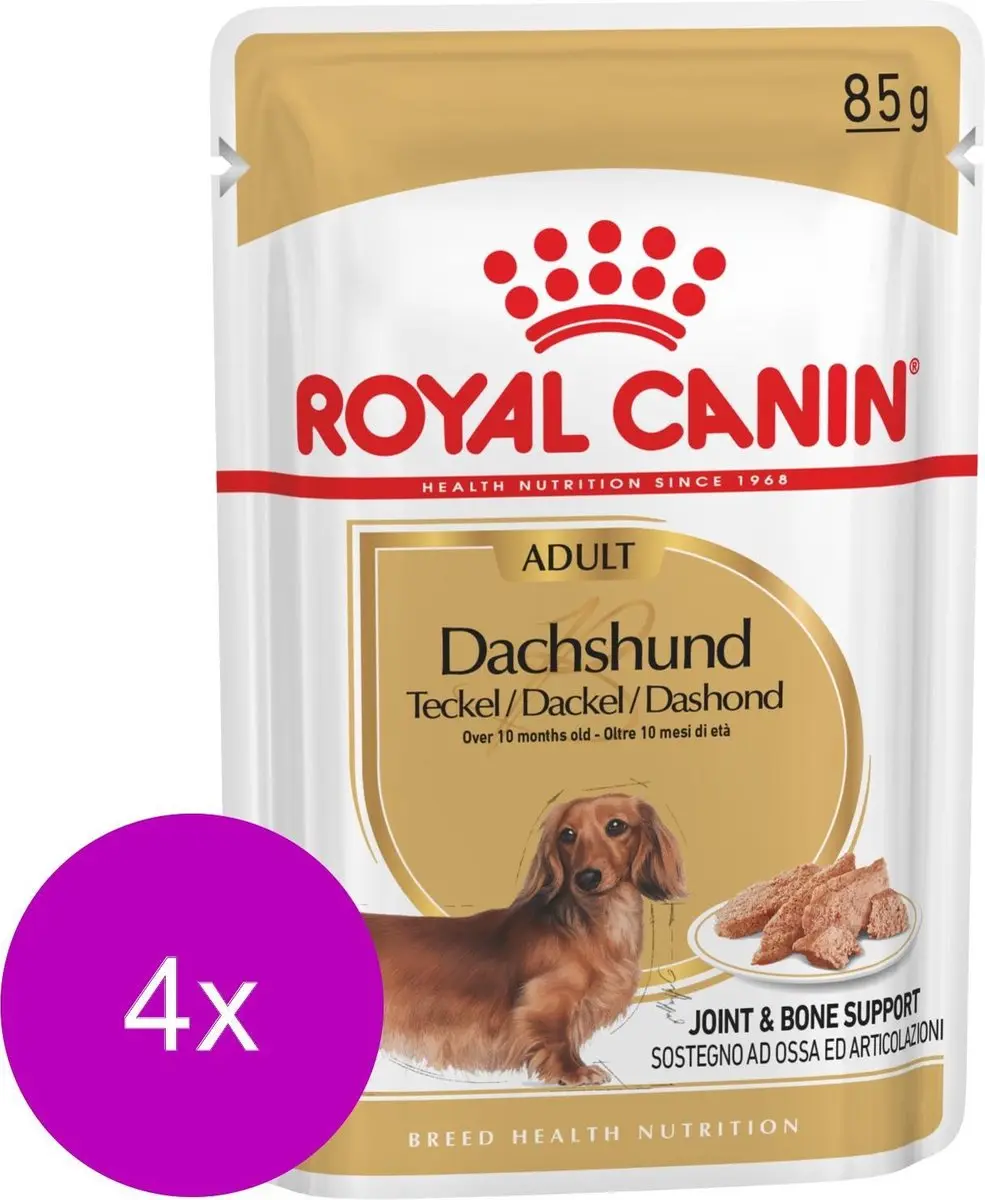Royal Canin Bhn Dachshund Adult Hondenvoer - 48 Stuks (4x12x85g)