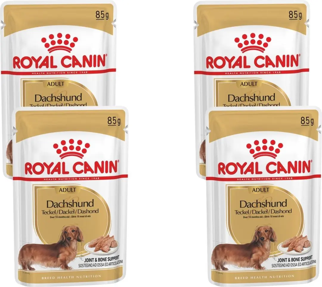Royal Canin Bhn Dachshund Adult Hondenvoer - 48 Stuks (4x12x85g)