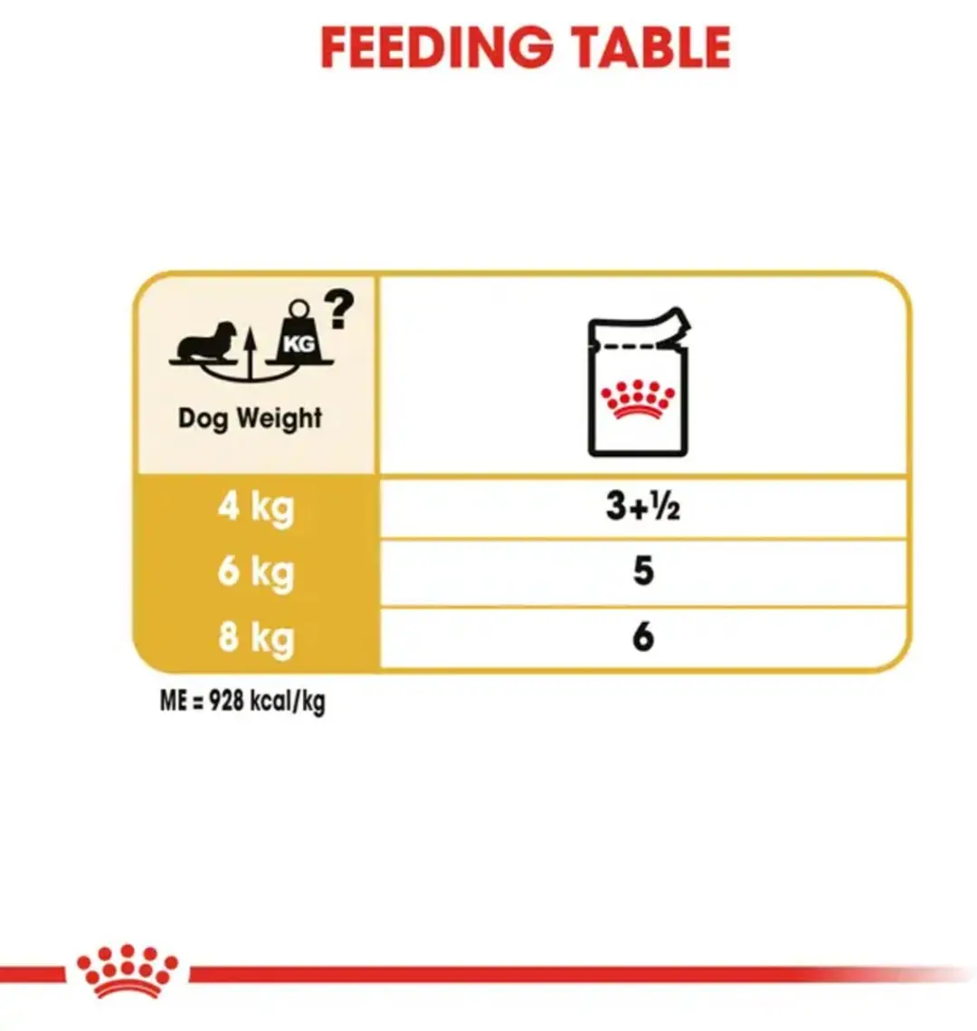 Royal Canin Bhn Dachshund Adult Hondenvoer - 48 Stuks (4x12x85g)