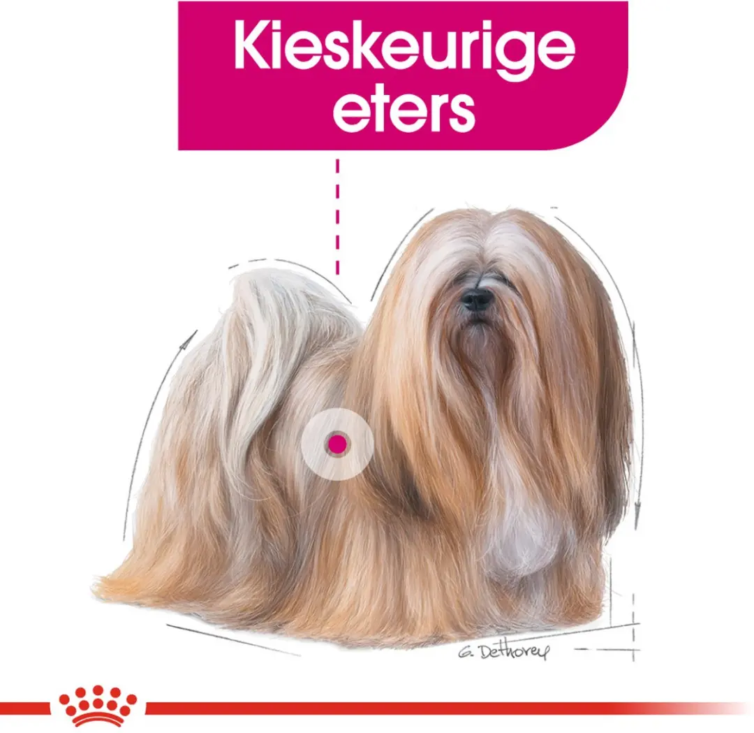 Royal Canin Exigent Mini Hondenvoer - 3 kg