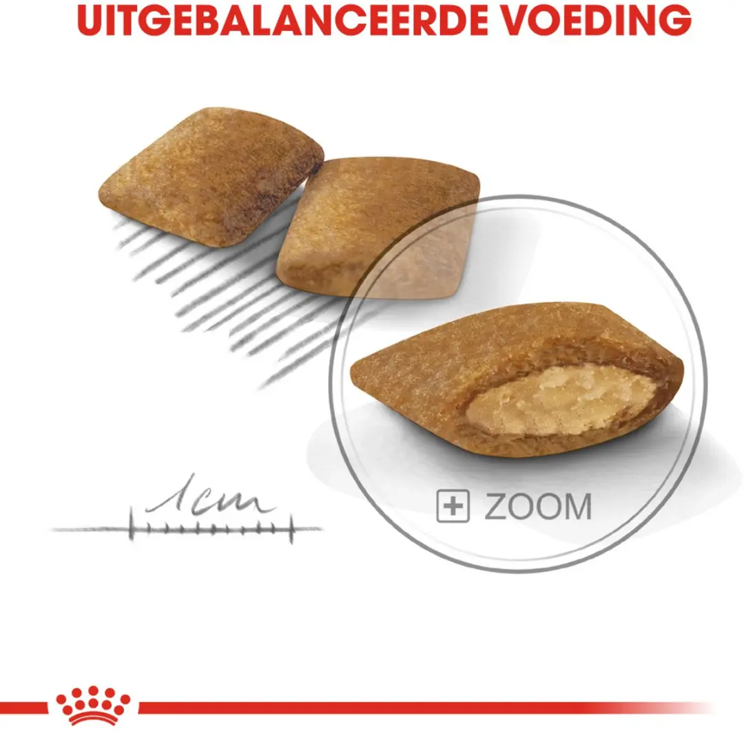 Royal Canin Exigent Mini Hondenvoer - 3 kg - afbeelding 6 van 6