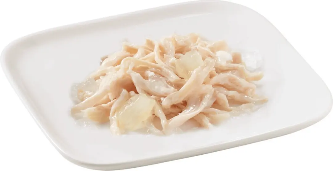 Schesir Hondenvoer Blik Jelly Kip & Aloë 150g - 10 Stuks