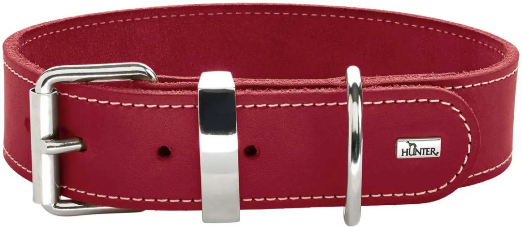 Hunter Halsband Aalborg Special