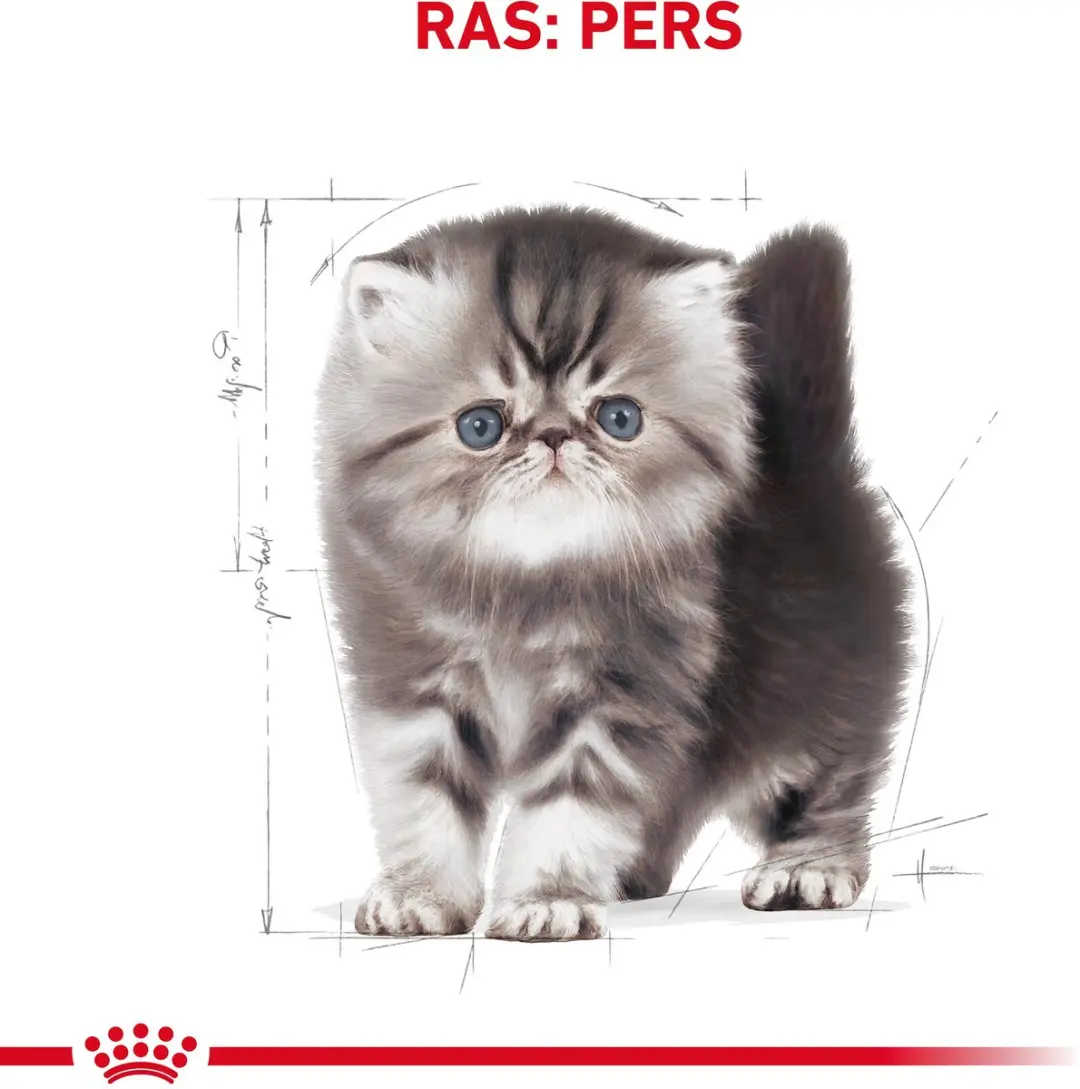 Royal Canin Persian Kitten Kattenvoer - 4kg