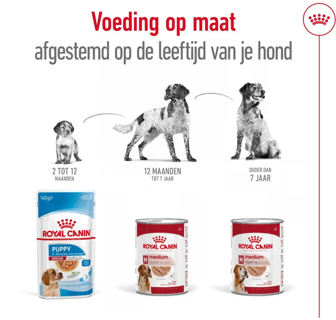 Royal Canin Medium Adult Natvoer - 12 x 410g