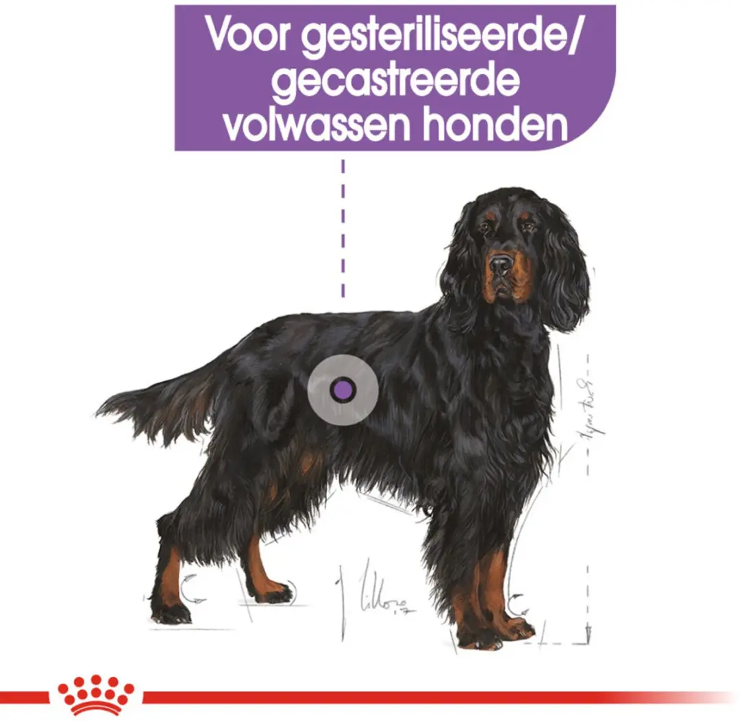 Royal Canin Sterilised Maxi Hondenvoer 3kg