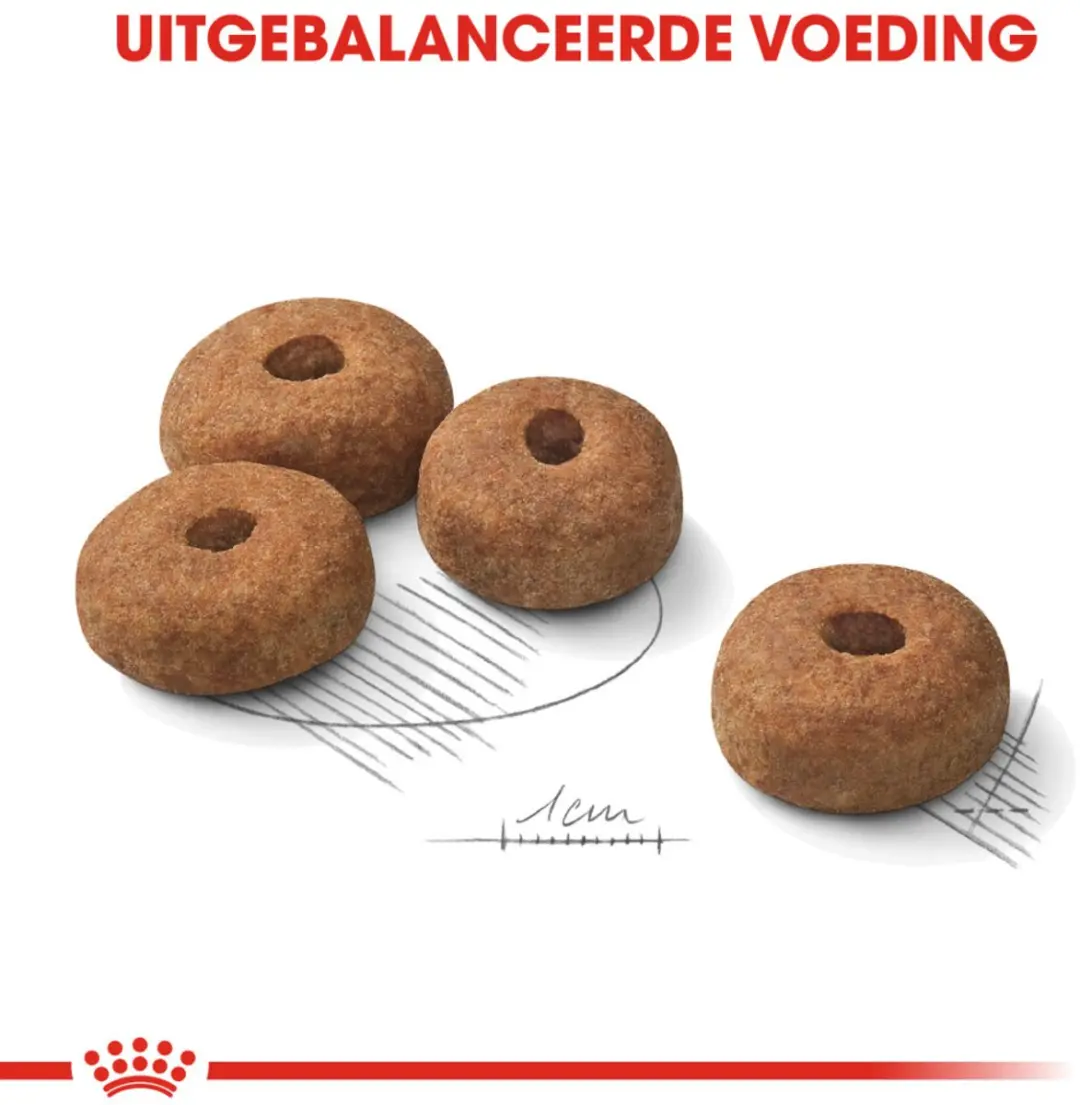 Royal Canin Sterilised Maxi Hondenvoer 3kg - afbeelding 6 van 6