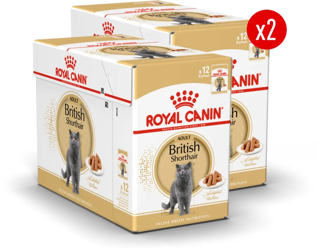 Royal Canin British Shorthair Adult Natvoer