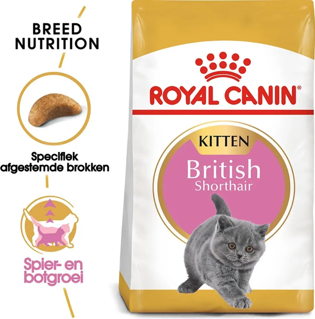 Royal Canin British Shorthair Kitten 2kg