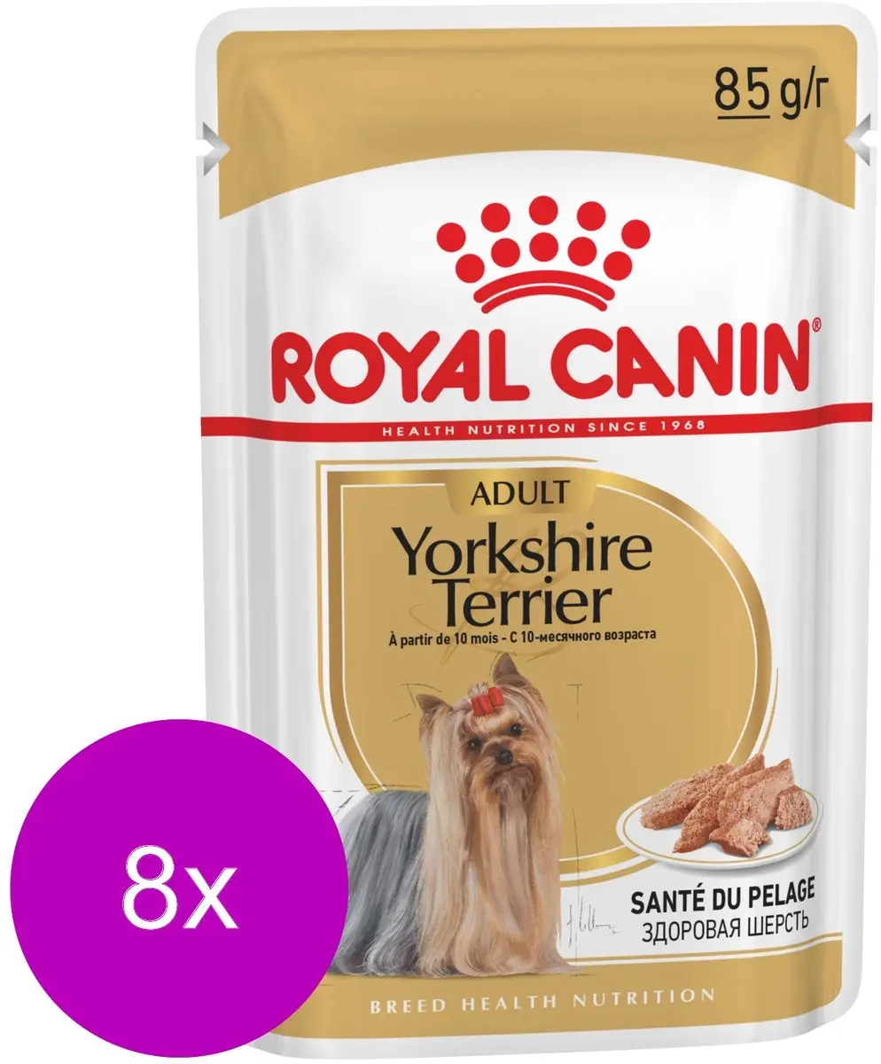 Royal Canin Yorkshire Terrier Adult Natvoer - 96 Stuks