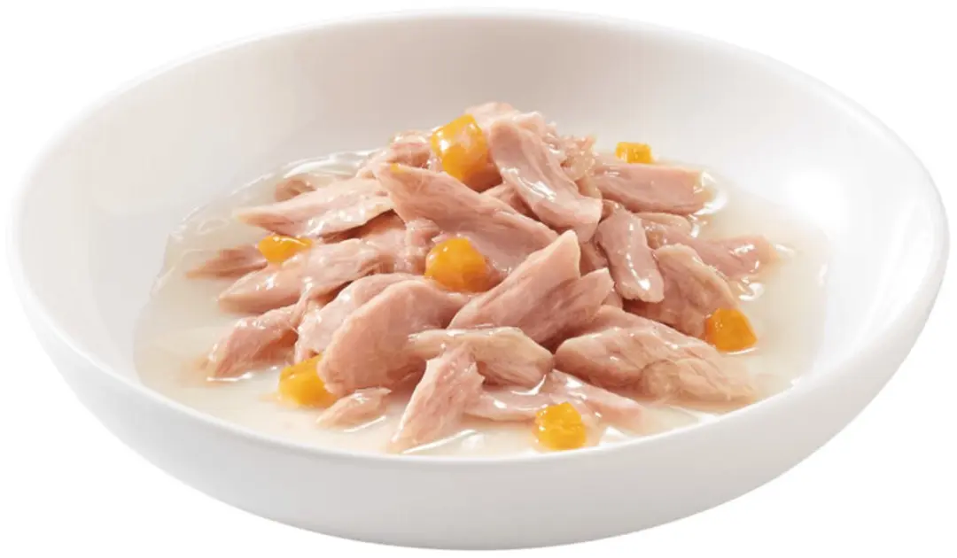 Schesir Kattenvoer Pompoen in Bouillon - 12x70g