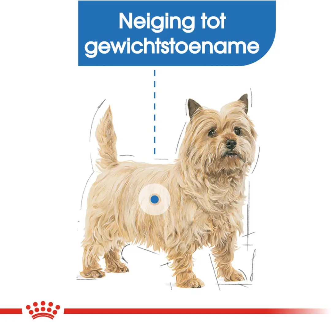 Royal Canin Light Weight Care Natvoer - 12x85g