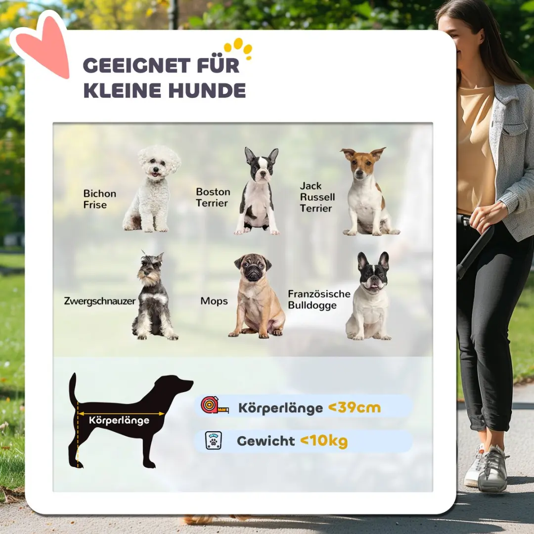 Pawhut Hundewagen - 100L x 58B x 100H cm - Türkis