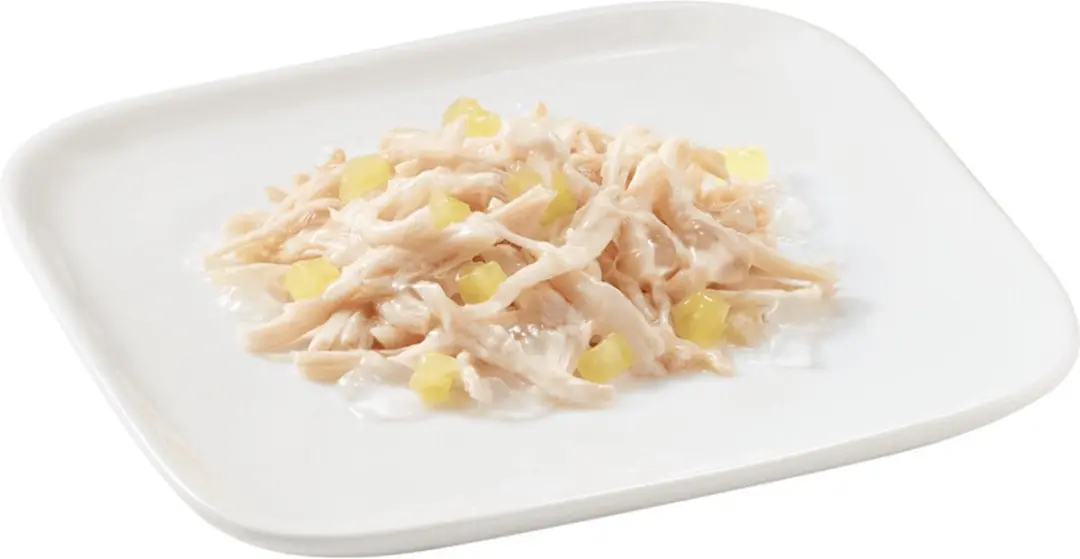 Schesir Hondenvoer Kip - Ananas 150g - 10 Stuks