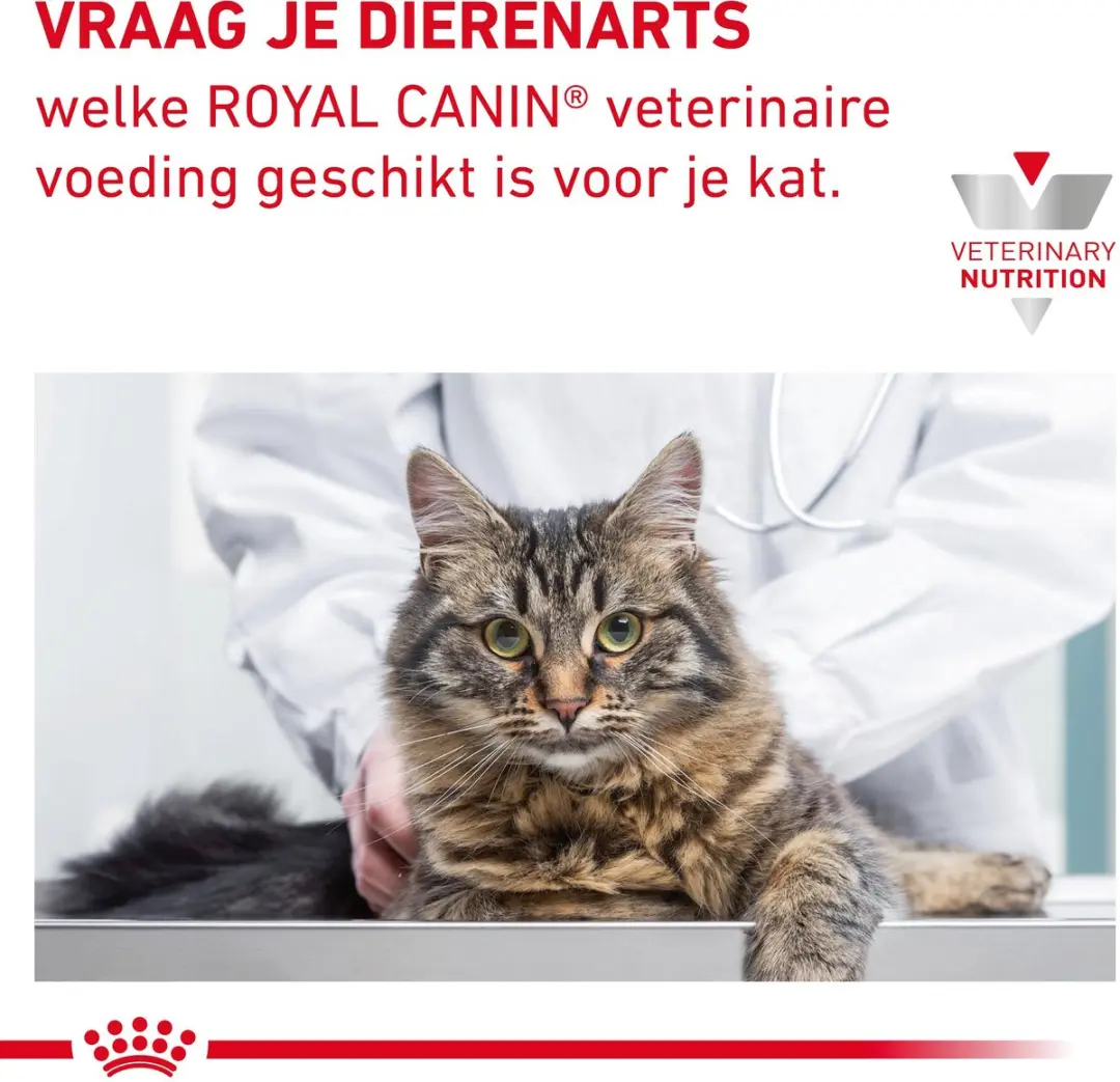 Royal Canin Veterinary Diet Gastro Intestinal Kitten - 195g
