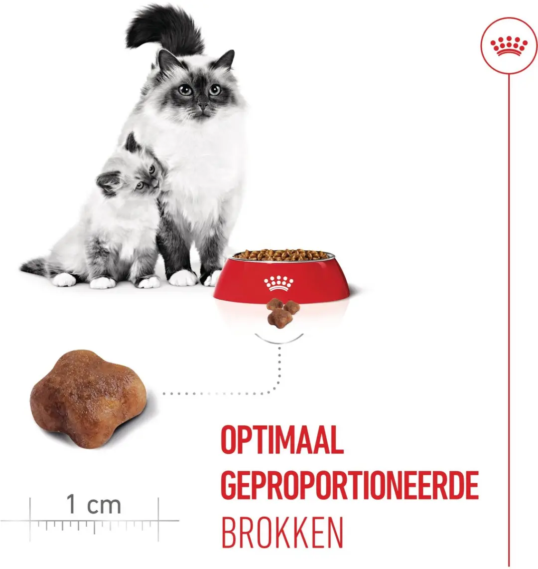Royal Canin Mother & Babycat Kittenvoer 400g